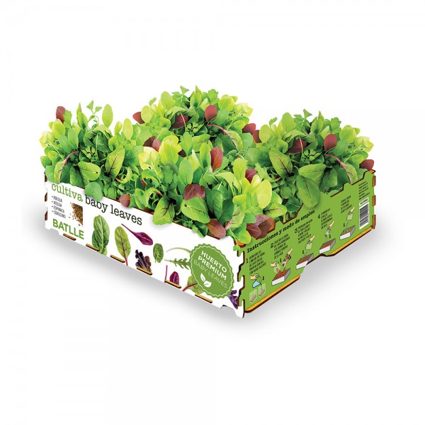 Caja de ensaladas baby leaves 40 x 29 x 10,5 cm